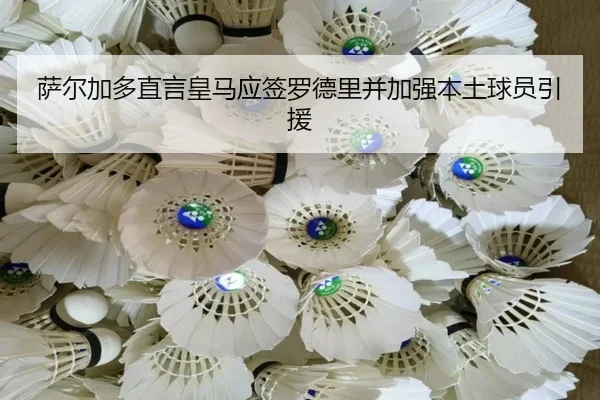 萨尔加多直言皇马应签罗德里并加强本土球员引援