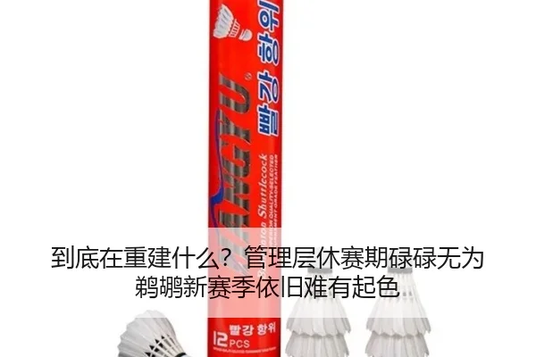 到底在重建什么？管理层休赛期碌碌无为 鹈鹕新赛季依旧难有起色